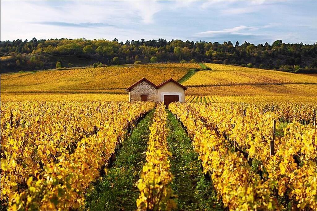 La Petite Cour Apartman Beaune  Kültér fotó